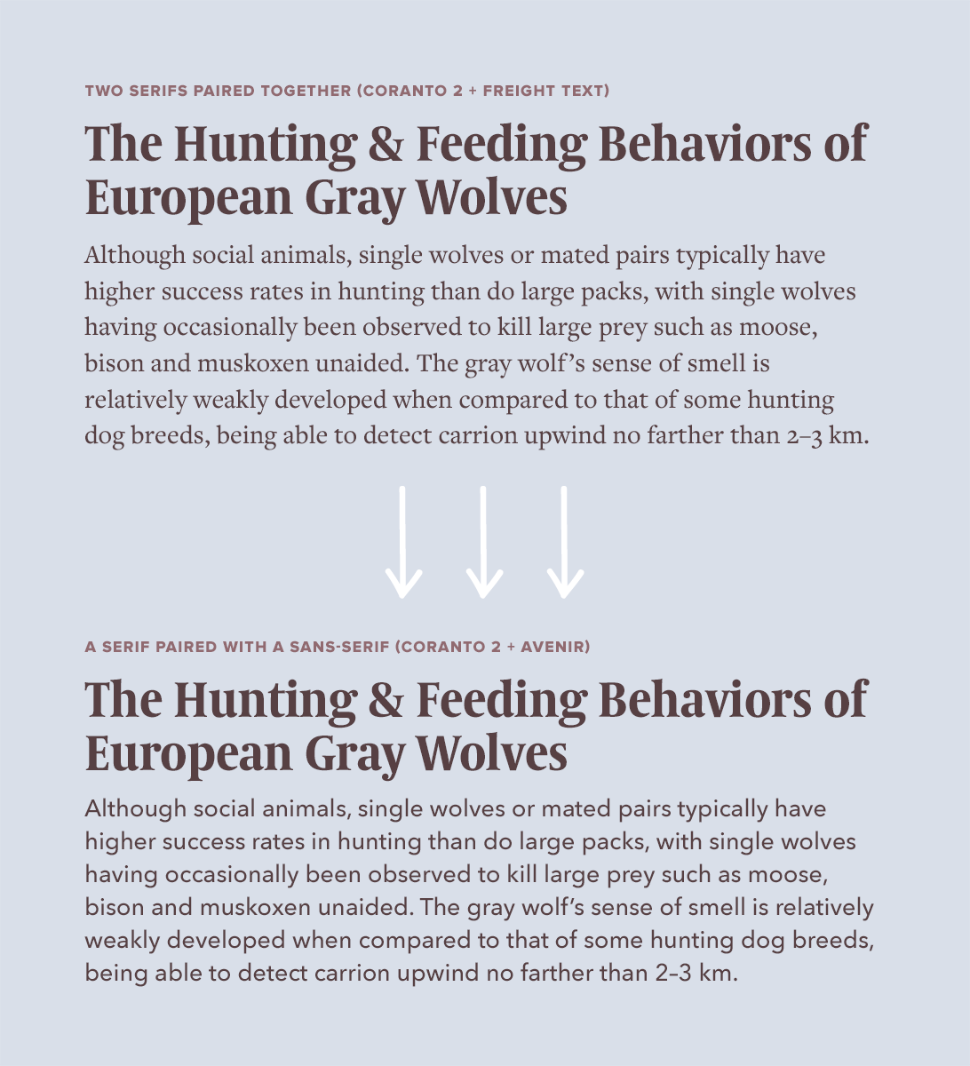 Pairing two serifs vs pairing a serif and sans-serif